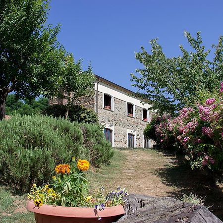 La Rosa Nel Bicchiere Vendégház Soveria Mannelli Kültér fotó